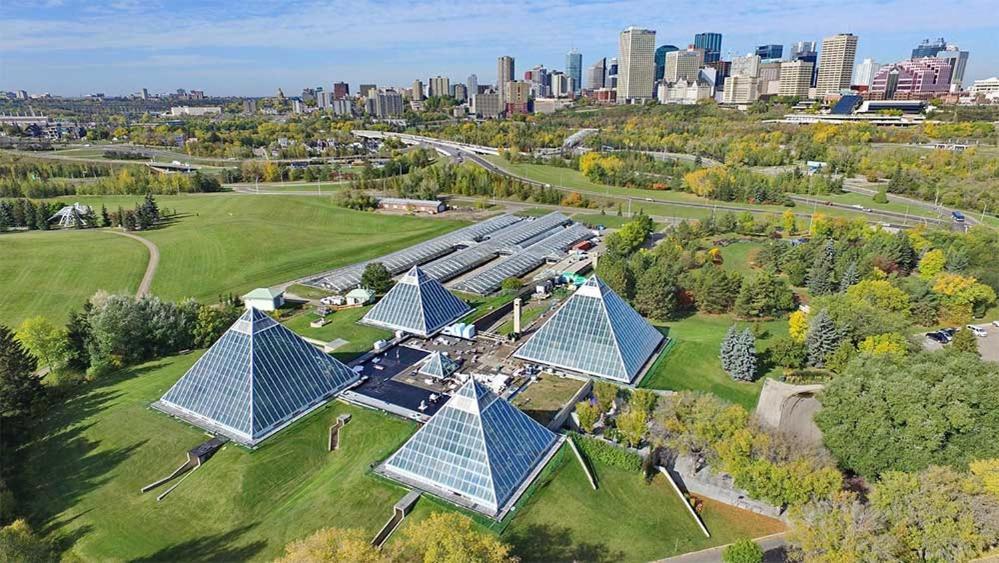 Bright Modern Home - King Bed - Free Parking - Fireplace - Fast Wi-Fi - Free Netflix Edmonton Exteriör bild